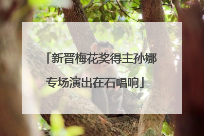 新晋梅花奖得主孙娜专场演出在石唱响
